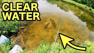 CRYSTAL CLEAR FARM POND has INSANE FISHING!