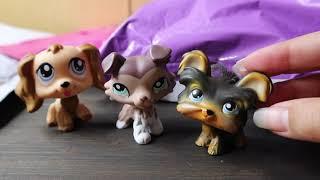 LPS from LPSQueen com and Mercari.