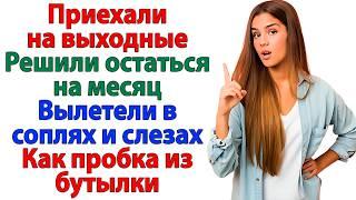 Приехали на выходные! Решили остаться на месяц. Сбежали в слезах женские истории свекровь и невестка