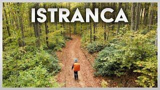 Istranca Forest | Solo Hike (Inspired by Kraig Adams)