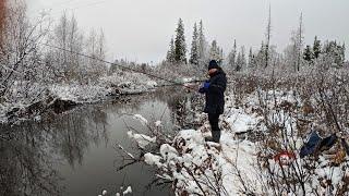 Продолжаем закрывать сезон жидкой воды . рыбалка на удочку.