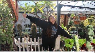 Rare Cactus & Succulent Plant Tour