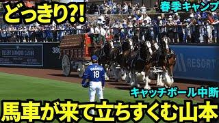 山本キャッチボール中にフィールドに馬車が！！キャッチボールを中断して唖然とする山本由伸ww【現地映像】2025年3月11日スプリングトレーニング ダイヤモンドバックス戦