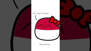 czech comes home drunk #countryballs #czech #poland