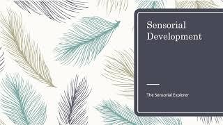 Montessori Sensorial Overview