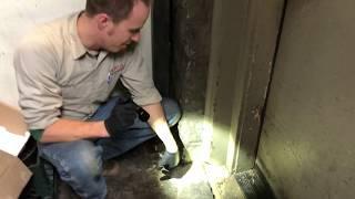 ATCO Pest Control Rodent Prevention and Exclusion Work in Marin County