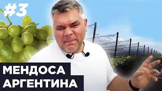 Винодельни региона Мендоса, Аргентина. Рестораны высокой кухни. 18+