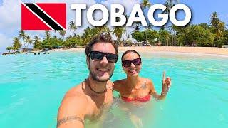 TOBAGO | THE CARIBBEAN GEM! 