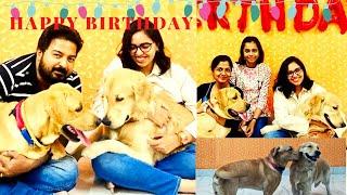 Celebrating My Dog's Birthday with Treats and Toys | Golden Retriever