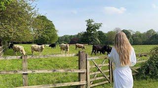 Summer in the British Countryside. (Travel Vlog)