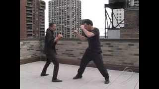 Evolving Martial Artist #2 - Shaolin Street Fighting Crane