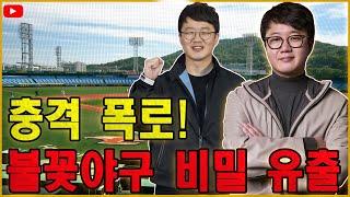 충격 폭로! 불꽃야구 시즌2 비밀 문서 유출…대전시의 진짜 속내?