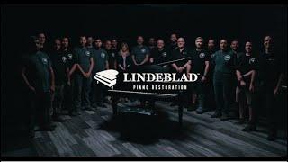 Introduction to Lindeblad Piano Restoration