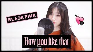 BLACKPINK - 'How You Like That' (Cover by Regina 레지나)