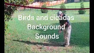 Driver session in backyard #Golf swing fine tuning