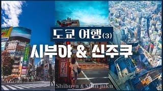 [여행의 정석] 도쿄  여행 (3) 떠오르는 핫플 모음.zip이자 패션의 메카 시부야·하라주쿠·신주쿠｜쇼핑·맛집·동선·꿀팁