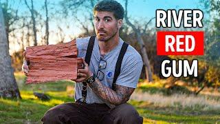 Splitting River Red Gum | A Challenge from Nature! 