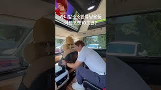 카니발 소소한 튜닝용품 아트포켓 #신형카니발하이리무진 #아트원#Shorts