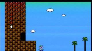 super mario bros 2 gameplay