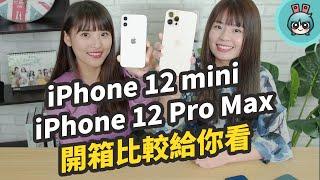 iPhone 12 mini 和 iPhone 12 Pro Max 也到手啦！全系列四款手機 一起比較實測給你看