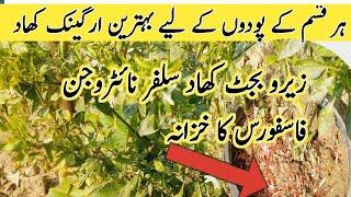 Best home made Fertilizer For Alla Plants |Organic Fertilizer | Kitchen weast se bnai khad