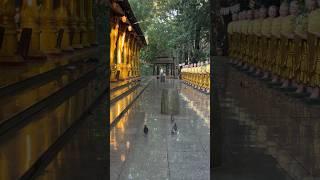Tâm Tuệ Anh - Trì niệm 108 biến thần chú Om Mani PadmeHum Mantra#nammoadidaphat #ommanipadmehum