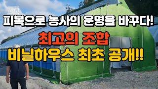 피복으로 농사의 운명을 바꾸다! 최고의 조합 비닐하우스 최초 공개!!