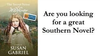 Southern Novels