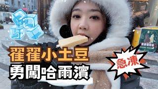 下雪了! 翟翟小土豆急凍 勇闖哈爾濱被震撼 -20度凍到短路求饒?!  #chinatravel #哈爾濱