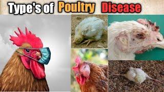 Types of Poultry Diseases | @Dr.Abu-BakarNaeem