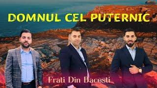 Fratii Din Bacesti - Domnul cel puternic