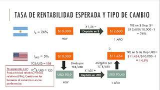 Unidad 12. Determinación del Tipo de Cambio a corto plazo. Parte 2 de 3