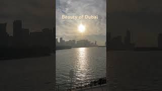 Discover the Hidden Beauty of Sharjah, Dubai, UAE  | #HiddenBeautyOfDubai #Explore #SharjahExplore