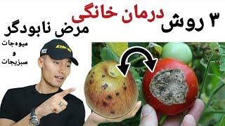 سه راه درمان خانگی و آرزان برای مرض کشنده میوه درختان و سبزیجات