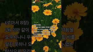 말씀찬양 로마서 8:26 나의 연약함을 도우시는 성령님