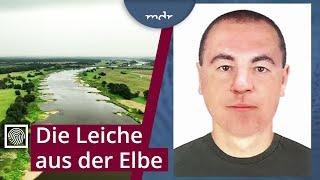 Wer ist der ermordete Mann aus der Elbe? | Kripo live | MDR