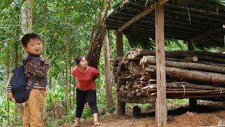 Rustic Living: Our eco-friendly firewood warehouse - Chúc Tòn Bình