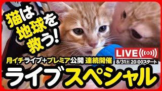 【ライブ記録】猫は地球を救う！ライブスペシャル️