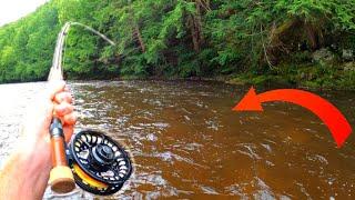 THE HUNT FOR GIANT TROUT Ep 2 | Rainy Day RECORD Brown Trout!