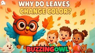 Why Do Leaves Change Color? - Science Explained!" | BuzzingOwl Learn, Nursery Rhymes & Kids Songs