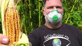 PANDEMIC How Growing Your Own Food Can Help