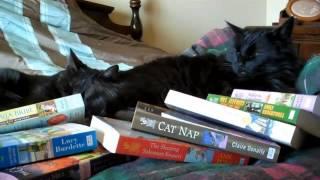 Books and cats