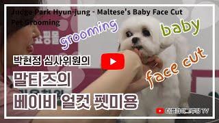 Park Hyun-jung's Baby Head Cut Grooming Seminar by Maltese