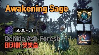 [BDO] Awakening Sage Dehkia Ash Forest 15000+ (Yellow) 각성세이지 데키아 잿빛숲 15000+ (상줌)