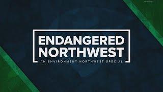 Endangered Northwest: The impact of the Endangered Species Act, 50 years later