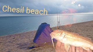 fishing chesil beach 2024 for the first time ever | sea fishing waymoth| big beach fishing uk