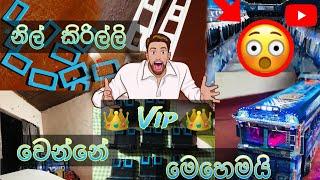 නිල් කිරිල්ලි (vip) වෙන්න යන්නේ මෙහෙමයි../This is how Nil Kirilli is going to become VIP..?