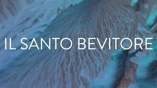 [Promo 25.11.22] IL SANTO BEVITORE / TANGERINECAT / VÄLVĒ