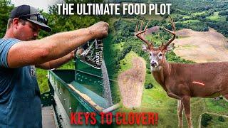 Everything You Need To Know About CLOVER Food Plots | Deer Season 24