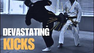 Devastating Kicks: Ura Ushiro Mawashi Geden Geri Breakdown!